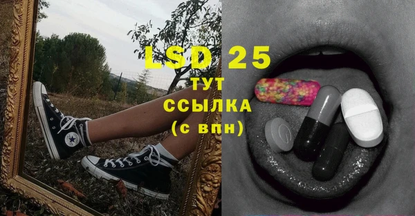 индика Майский