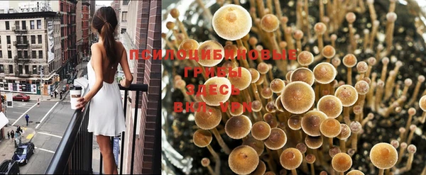 мет Магас
