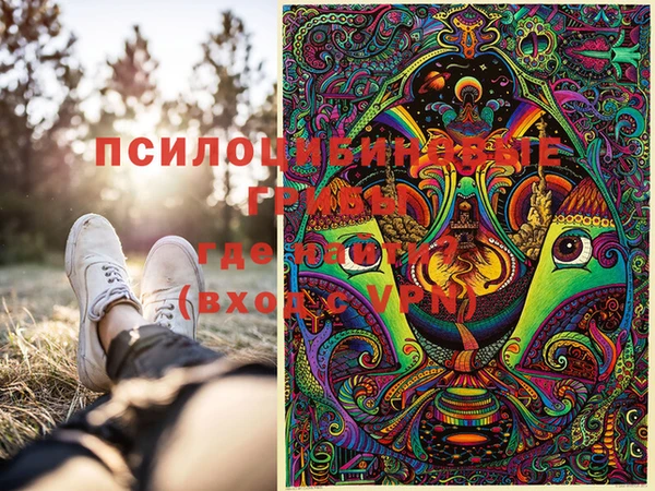 индика Майский