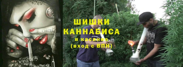 индика Майский