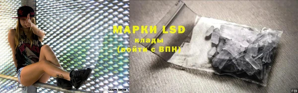индика Майский