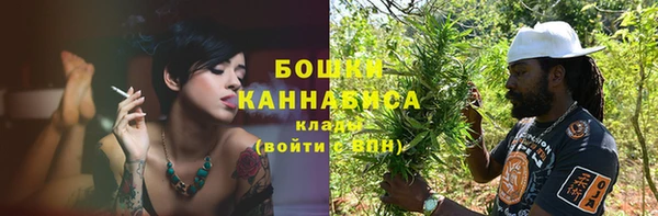 индика Майский