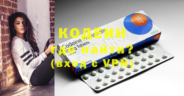 индика Майский