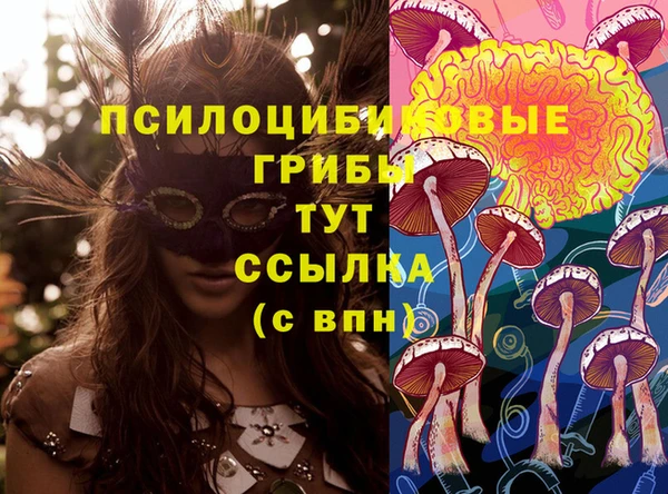 таблы Магадан